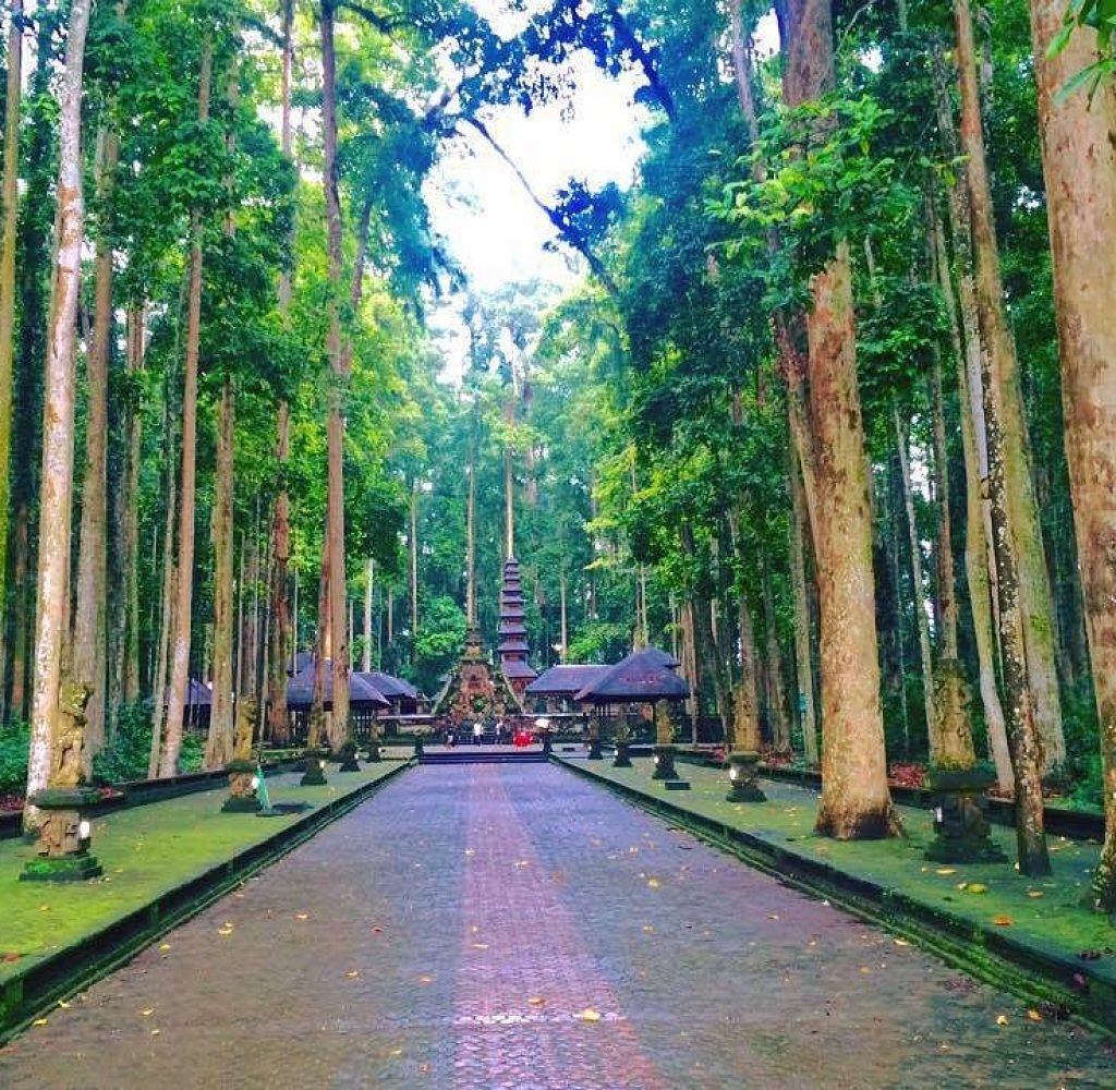 Sangeh Monkey Forest1