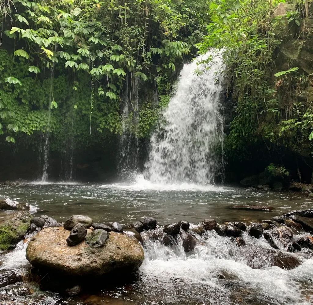 Tukad Yeh O Waterfall