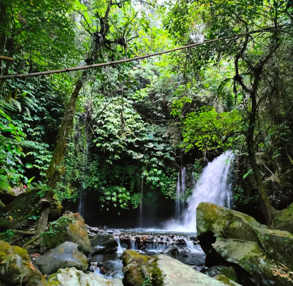 Tukad Yeh O Waterfall2